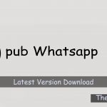 Pub Whatsapp Apk Download New Version for Android